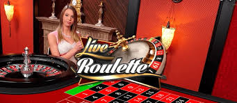 The Allure of Roulette Casinos A Comprehensive Guide 1767966784