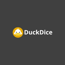 Exploring the Online Gaming Experience at This Page