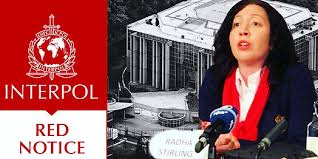 Understanding Interpol Legal Help Your Guide to Navigating International Law 1343369441